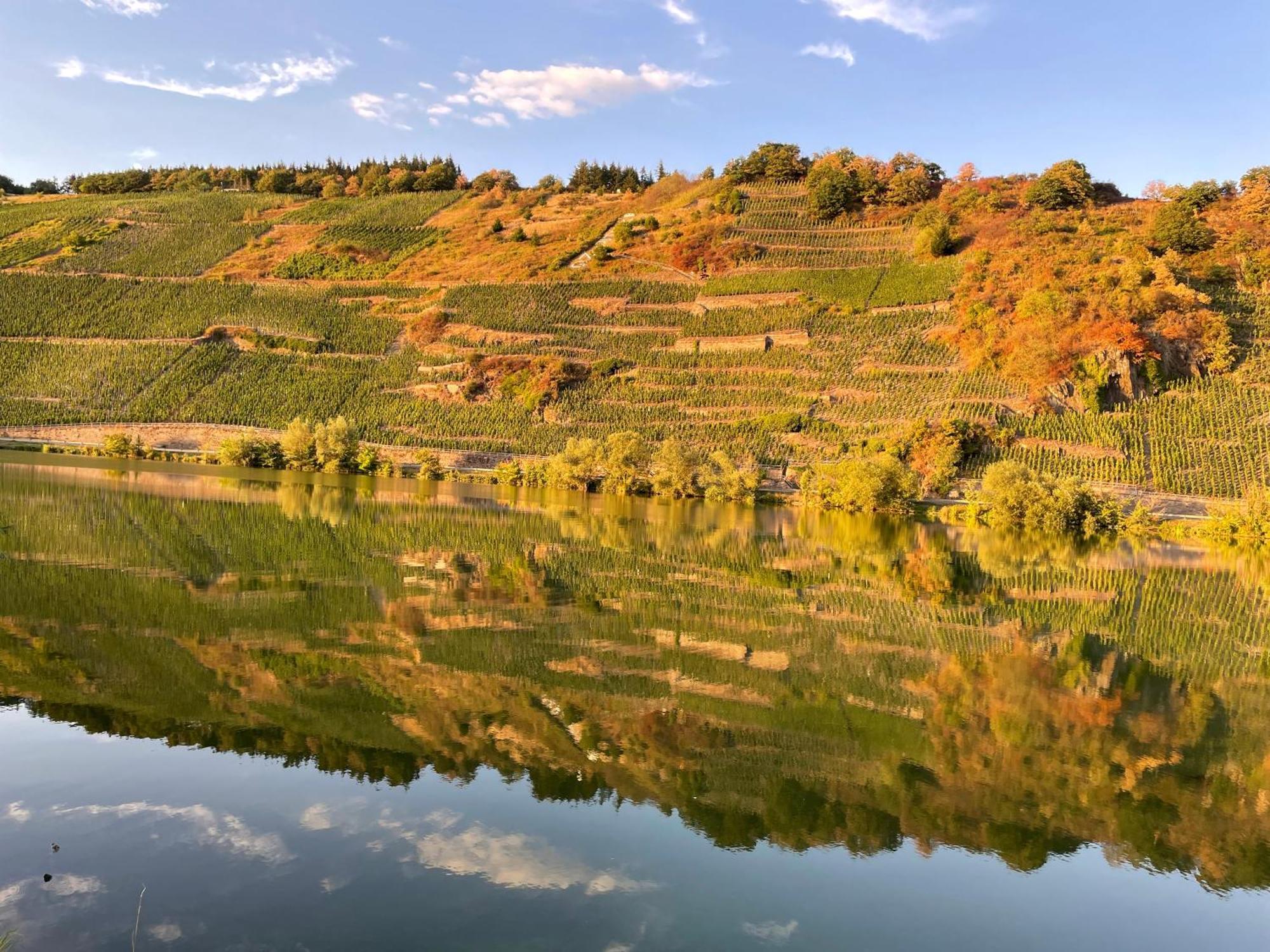 Neue Loft Im Alten Kelterhaus - Urlaub Im Wein- Und Ferienort Bekond ภายนอก รูปภาพ